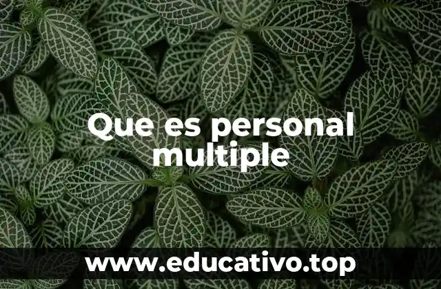 Que es personal multiple