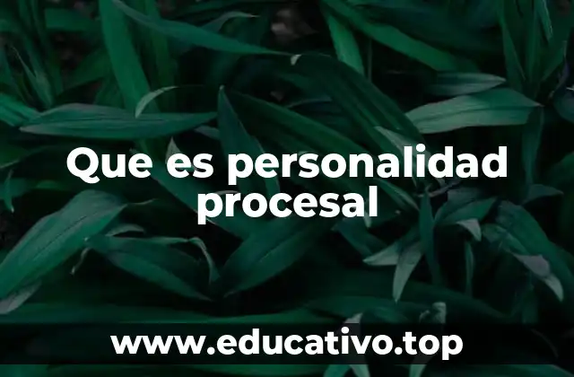 Que es personalidad procesal