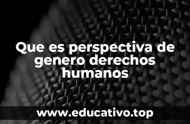 Que es perspectiva de genero derechos humanos