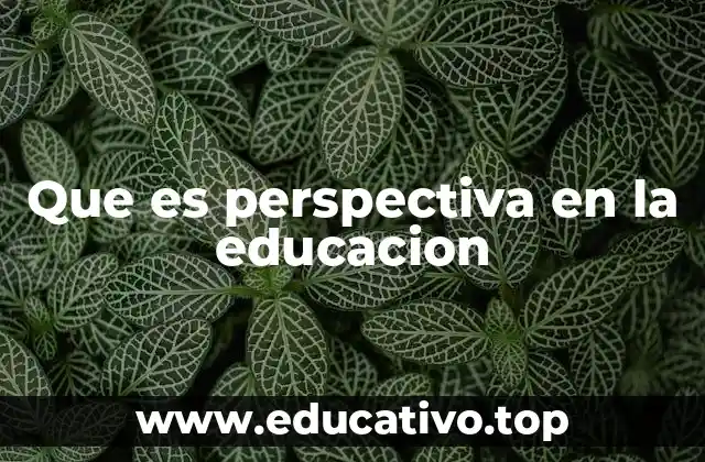 Que es perspectiva en la educacion