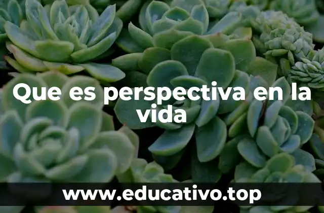 Cómo la perspectiva influye en nuestra toma de decisiones