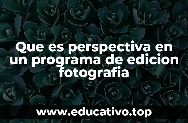 Que es perspectiva en un programa de edicion fotografia