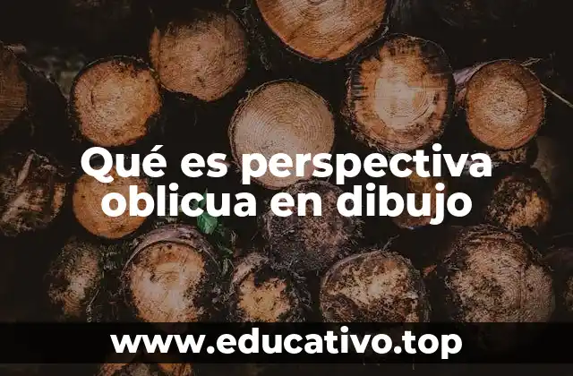 Qué es perspectiva oblicua en dibujo