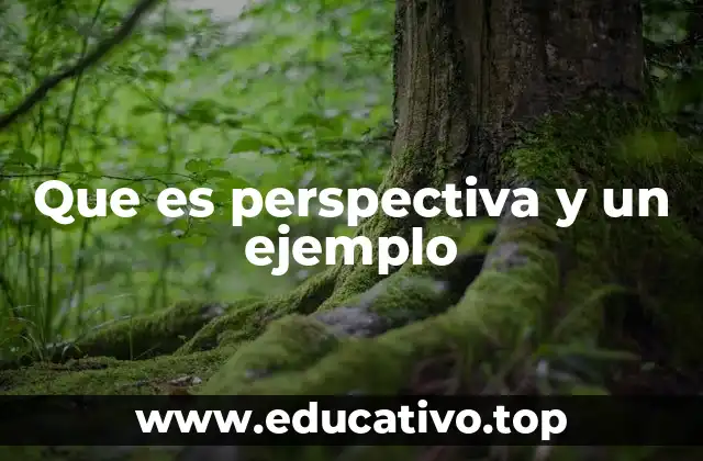 Que es perspectiva y un ejemplo
