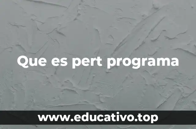 Que es pert programa