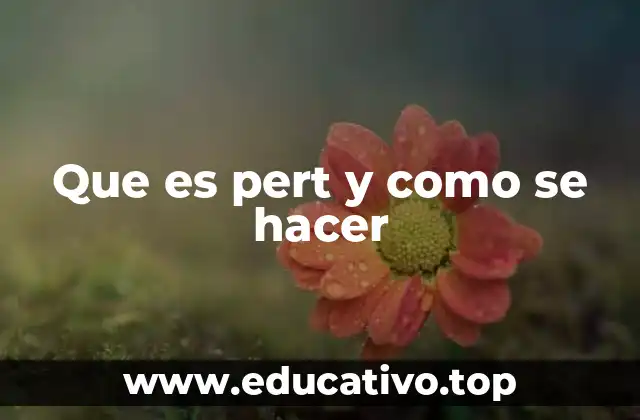 Que es pert y como se hacer
