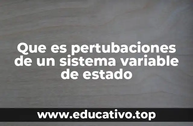 El papel de las variables de estado en el análisis de sistemas dinámicos