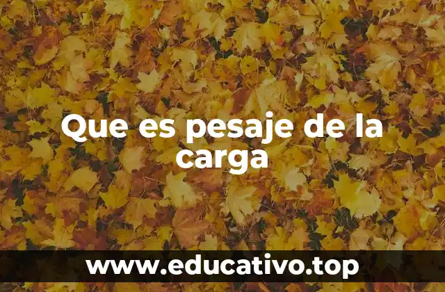 Que es pesaje de la carga