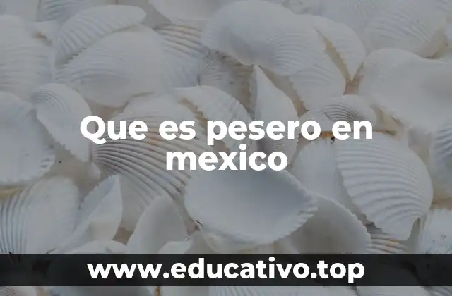Que es pesero en mexico