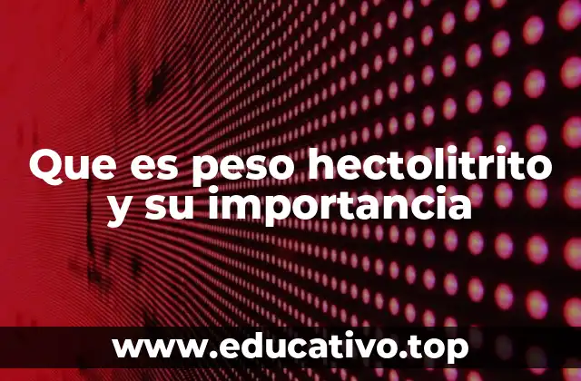 El papel del peso hectolitro en la agricultura y la logística