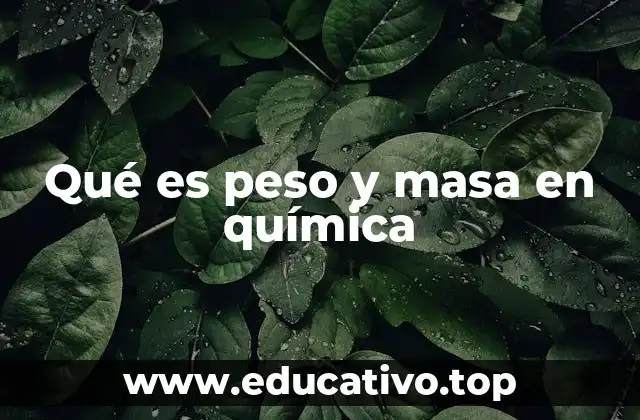 Qué es peso y masa en química