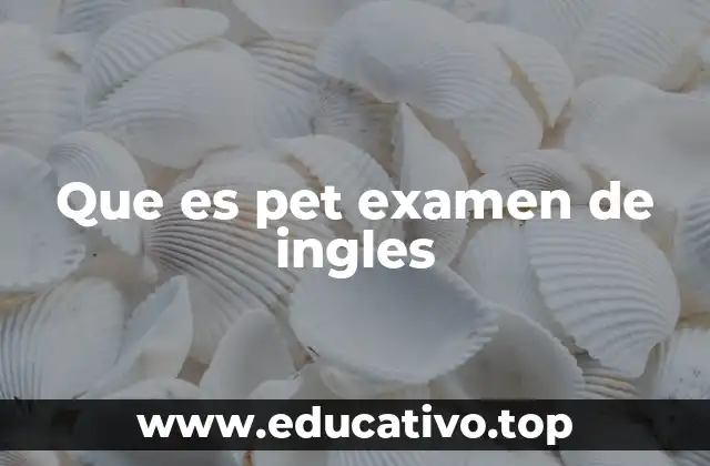 Que es pet examen de ingles