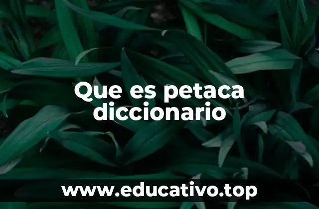 Que es petaca diccionario