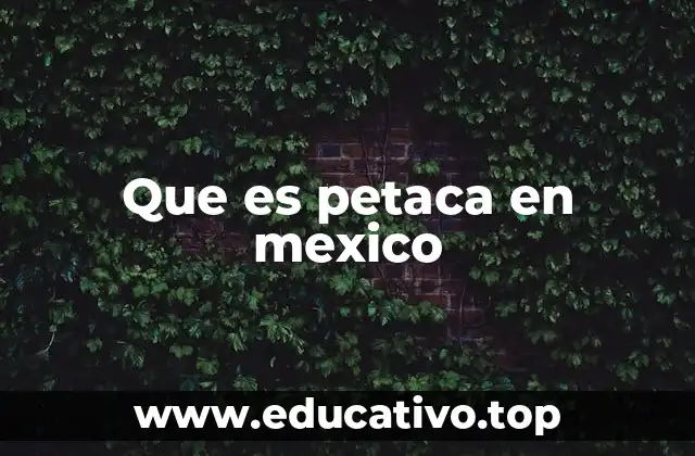 Que es petaca en mexico