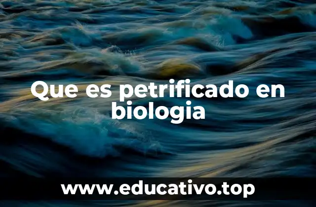 Que es petrificado en biologia