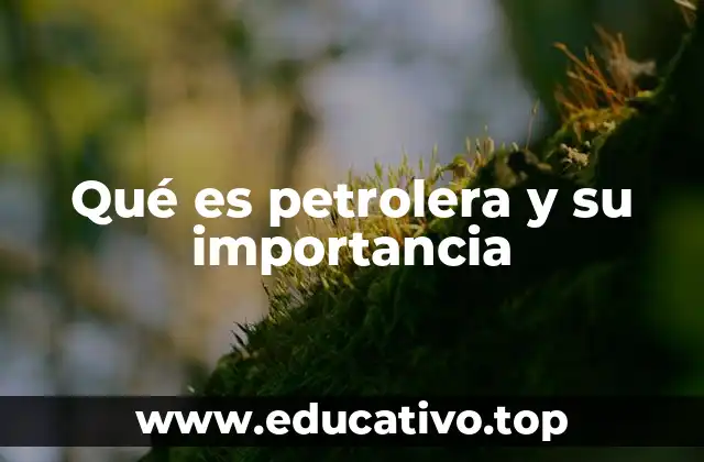 Qué es petrolera y su importancia