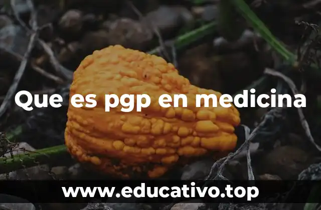 Que es pgp en medicina