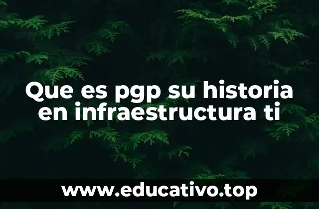 Que es pgp su historia en infraestructura ti