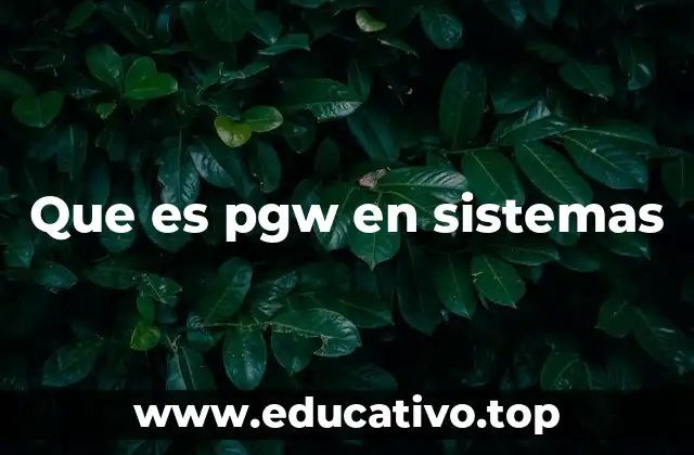 Que es pgw en sistemas
