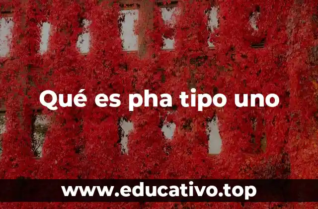 Qué es pha tipo uno