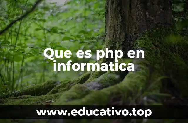 Que es php en informatica