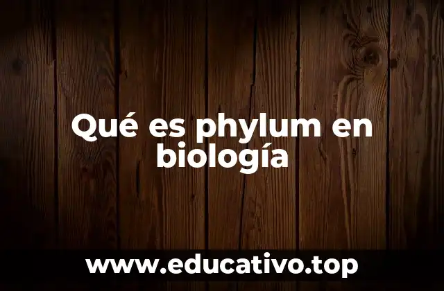 Qué es phylum en biología