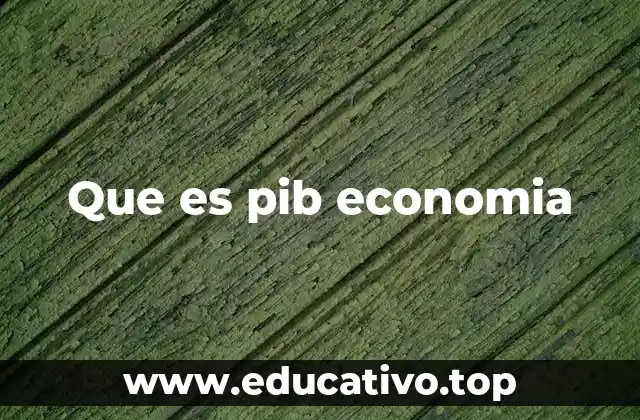 Que es pib economia