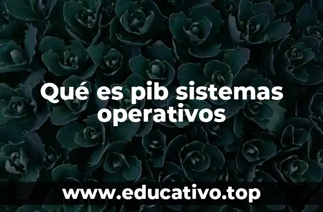 Qué es pib sistemas operativos