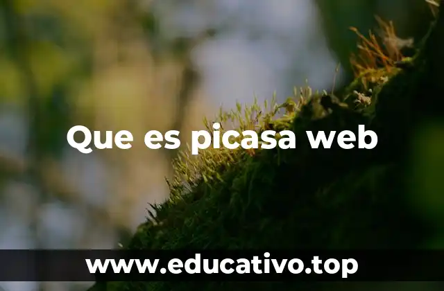 Cómo Picasa Web revolucionó la gestión de fotos en la nube