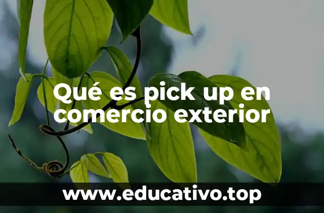 Qué es pick up en comercio exterior