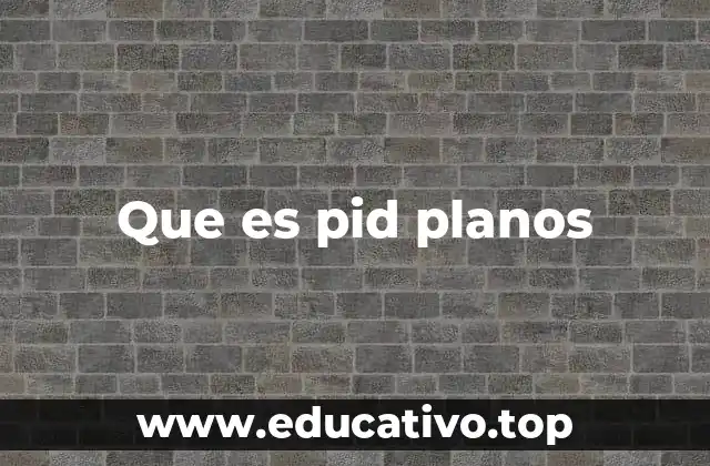 Que es pid planos