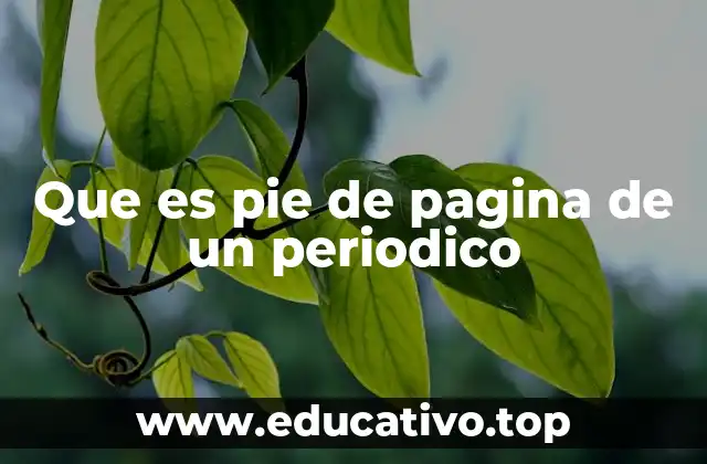 La importancia del pie de página en la comunicación periodística