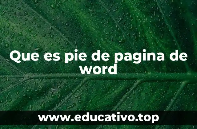 Que es pie de pagina de word