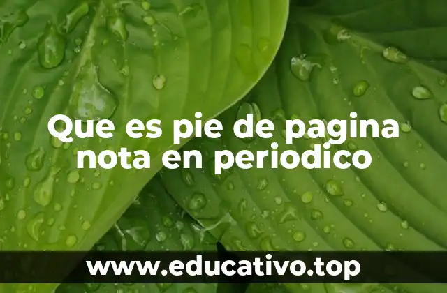 Que es pie de pagina nota en periodico