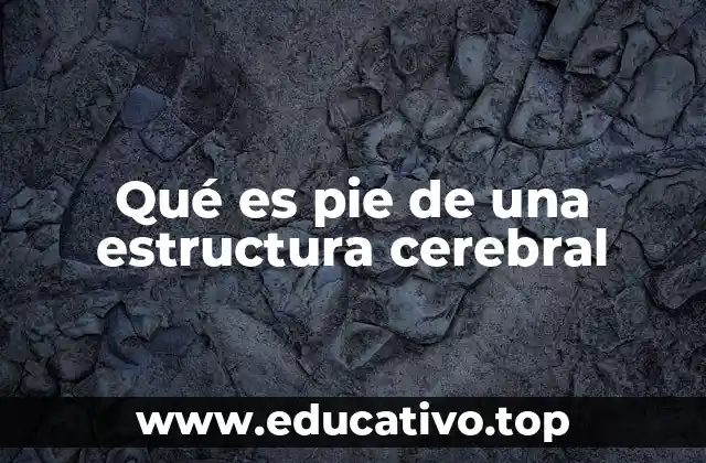 Qué es pie de una estructura cerebral
