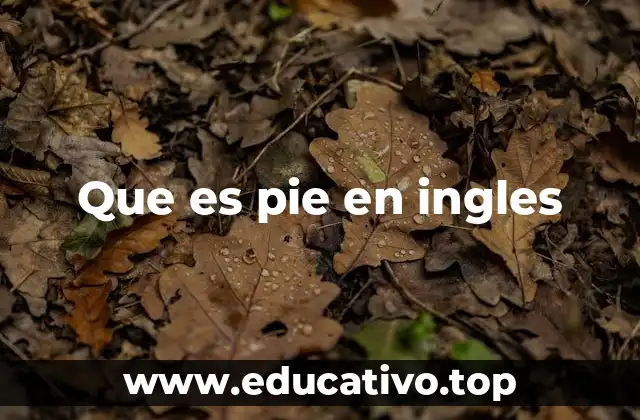Que es pie en ingles
