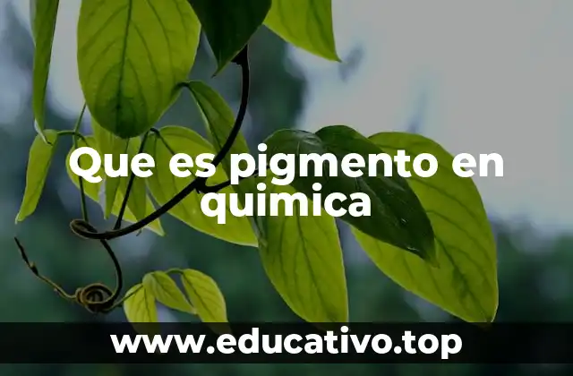 Que es pigmento en quimica