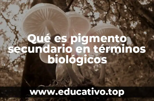 Qué es pigmento secundario en términos biológicos