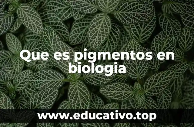 Que es pigmentos en biologia