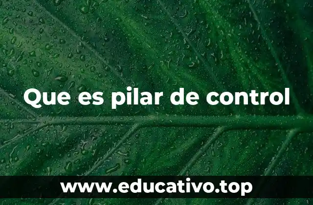 Que es pilar de control