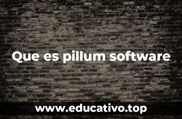 Que es pillum software