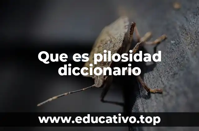 Que es pilosidad diccionario