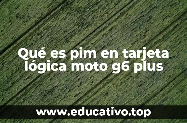 Qué es pim en tarjeta lógica moto g6 plus