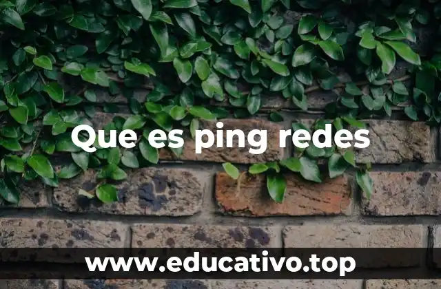 Que es ping redes
