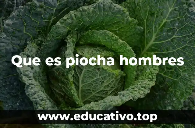 Que es piocha hombres