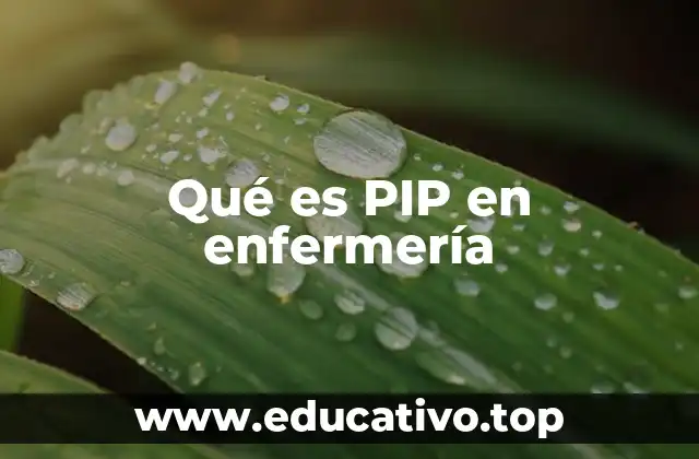 Qué es PIP en enfermería