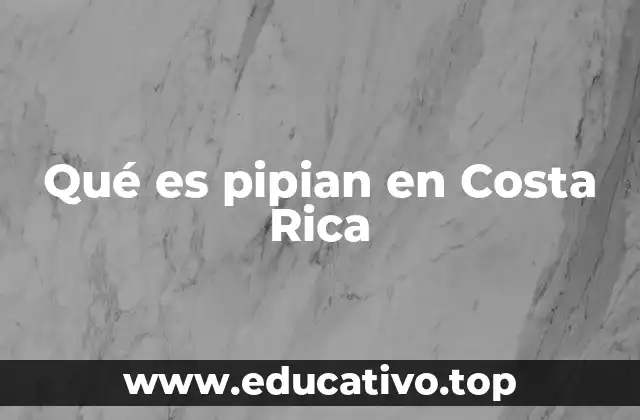 Qué es pipian en Costa Rica