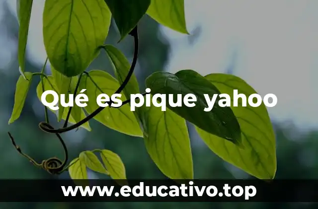Qué es pique yahoo