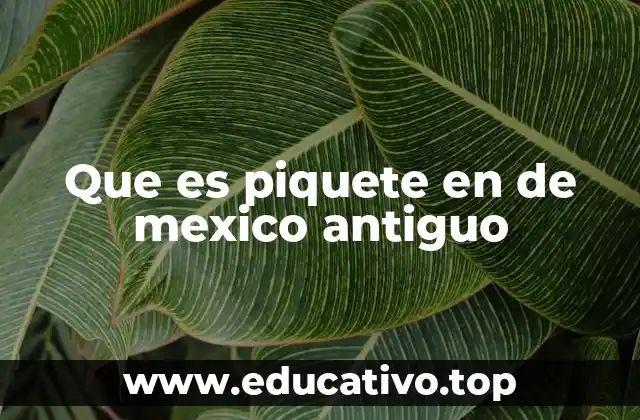 El piquete como herramienta de control ganadero