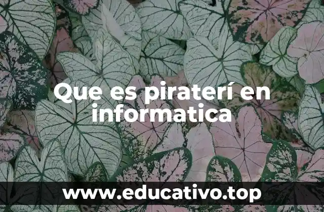Que es piraterí en informatica